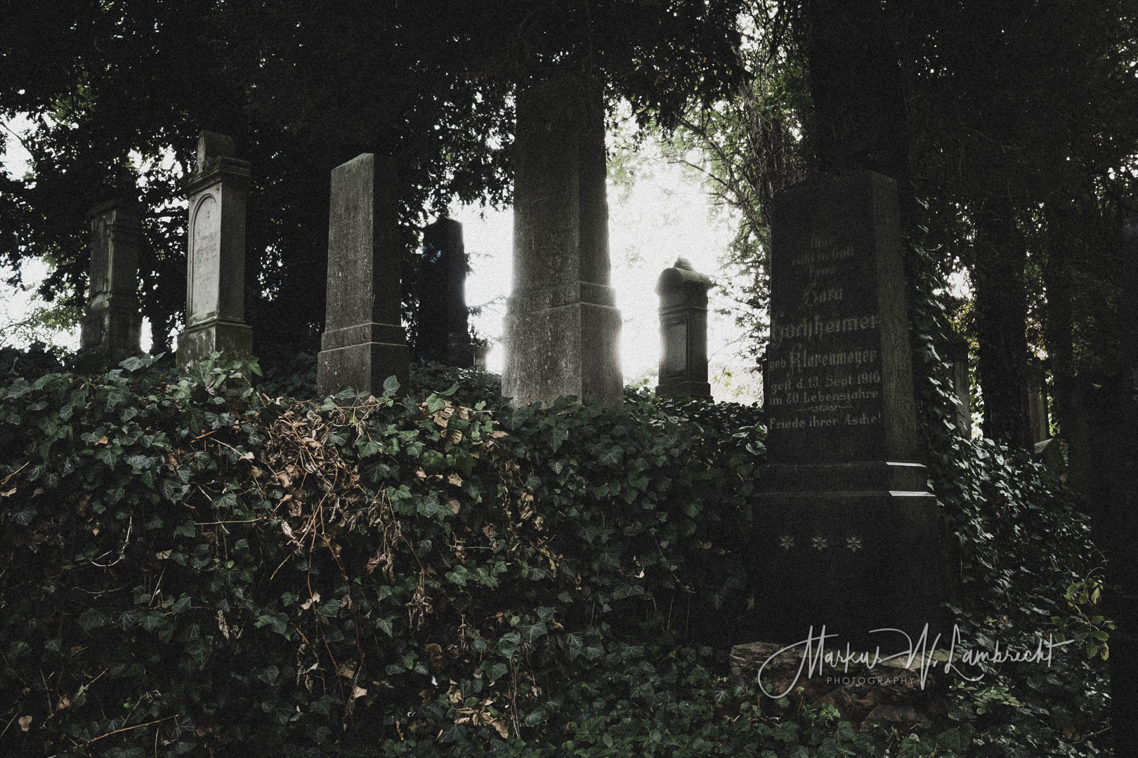 Steinheim (Westfalen), Jüdischer Friedhof